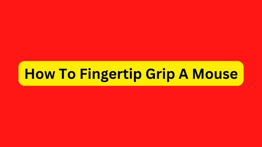 How To Fingertip Grip A Mouse