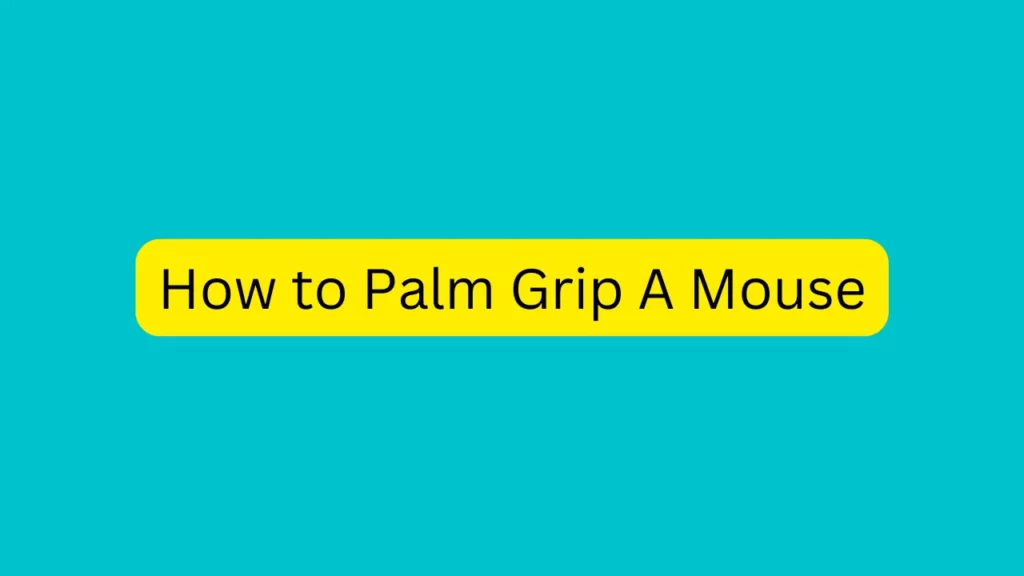 How to Palm Grip A Mouse
