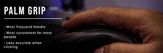 What Is The Best Mouse Grip for FPS?: Palm Grip is Best Mouse Grip for FPS Games